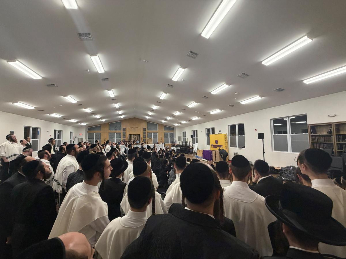 A full hall at a show